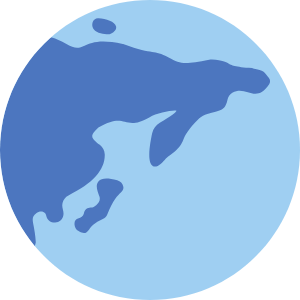 Asia flag